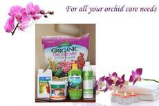 Orchid Care