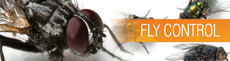 Fly Control