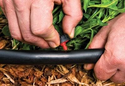Poly Tubing (Main Line)