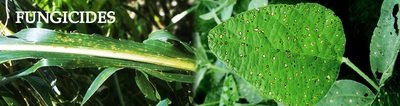 Fungicides