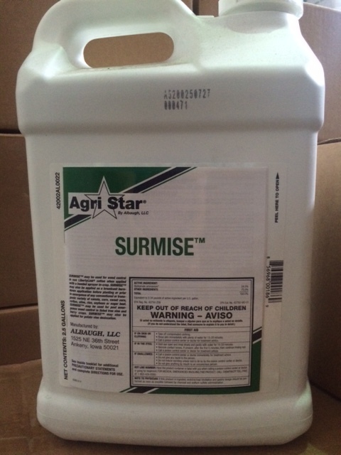 Surmise