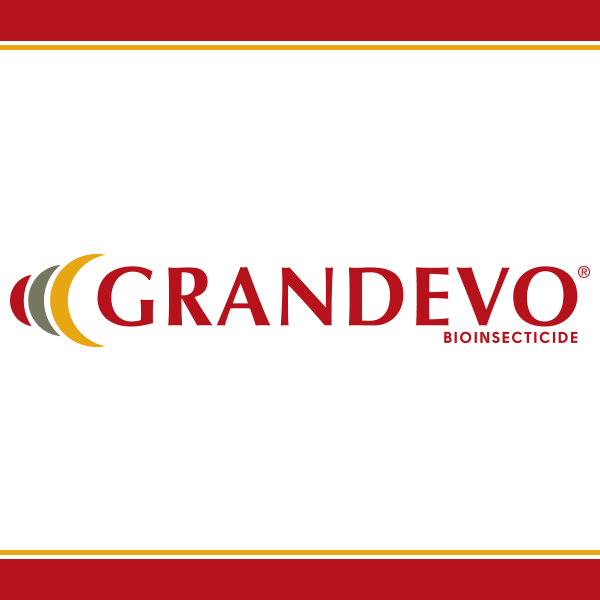 Grandevo