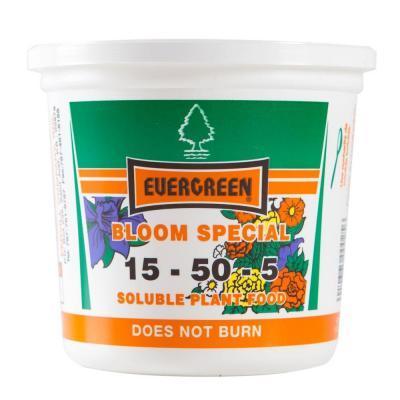 Evergreen 15-50-05
