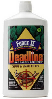 Deadline Liquid Force II