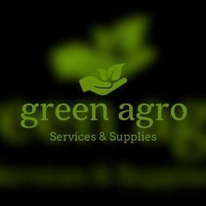 Online Store
