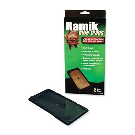 Ramik Rat Trap 2 Pk