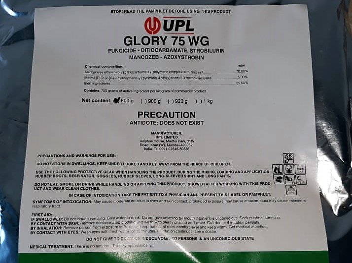 Glory 75 WG