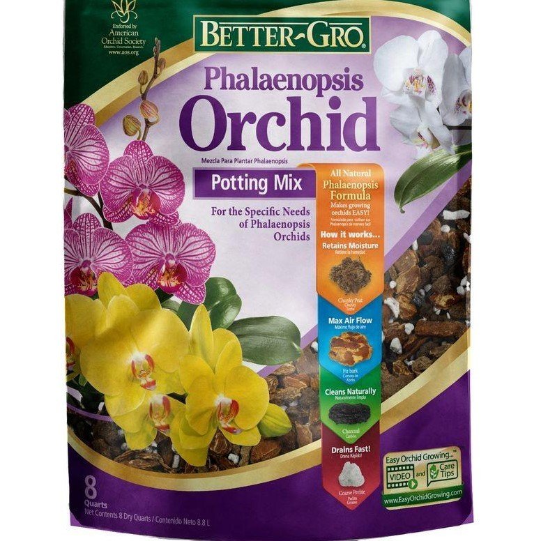 Phalaenopsis Orchid Mix