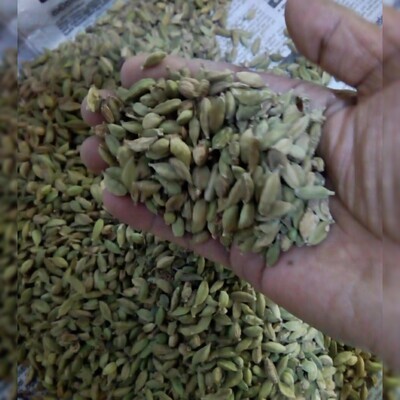 Cardamom