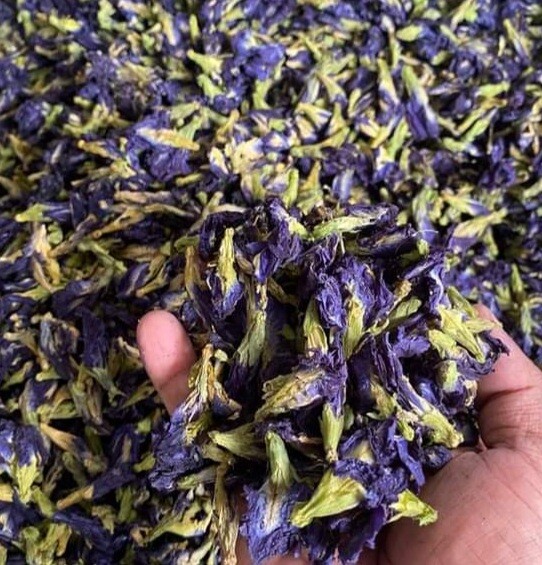 Butterfly Pea