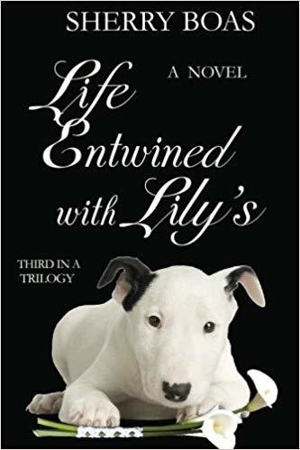 Life Entwined with Lily's: The Third in a Trilogy (The Lily Series)