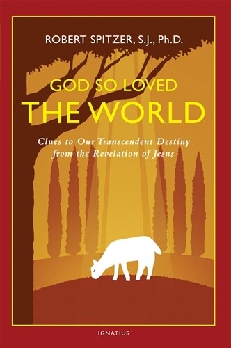 God So Loved the World -
Clues to Our Transcendent Destiny from the Revelation of Jesus
By Fr. Robert Spitzer S.J