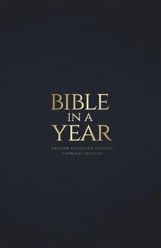 Bible in a Year- Bonded Leather