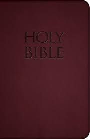 NABRE - New American Bible Revised Edition (Burgundy Deluxe Leatherette)