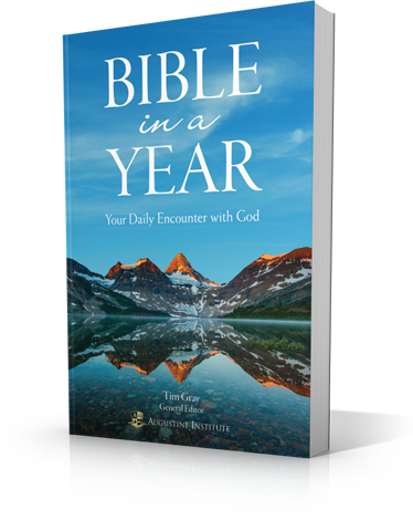 Bible in a Year: Your Daily Encounter with God. Paperback