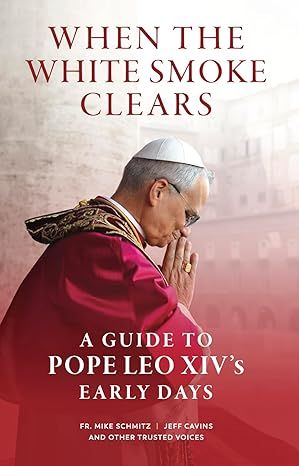 When the White Smoke Clears: A Guide to Pope Leo XIV's Early Days