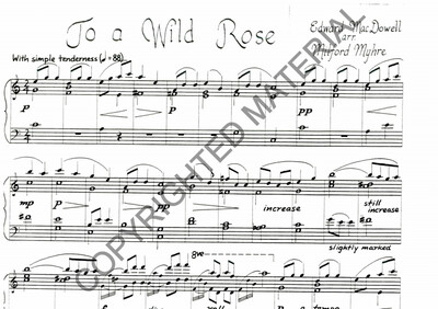 To a Wild Rose