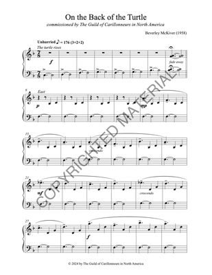 On the Back of the Turtle