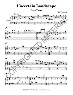 [PDF] Uncertain Landscape