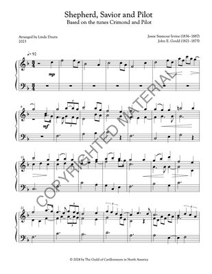 Shepherd, Savior and Pilot