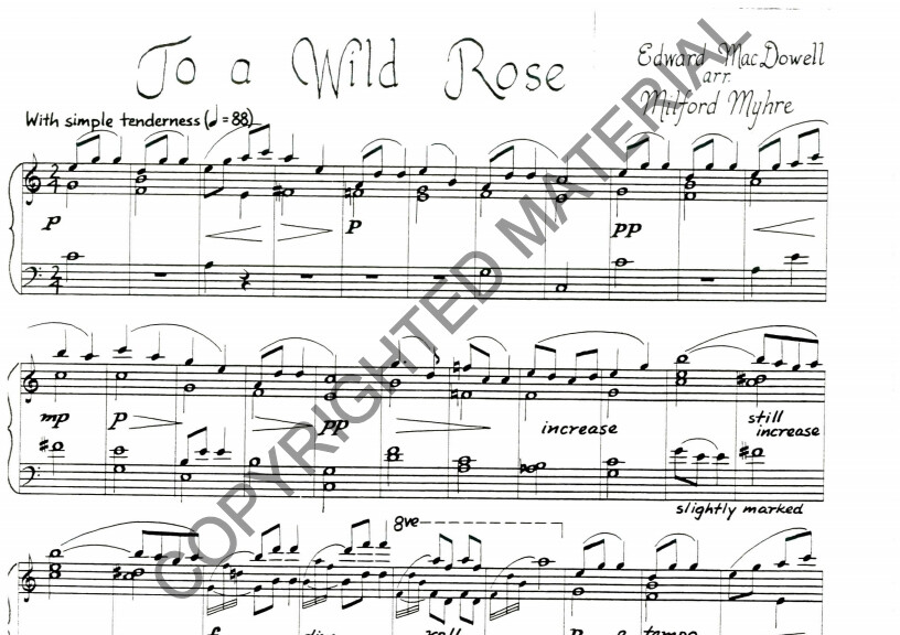 To a Wild Rose