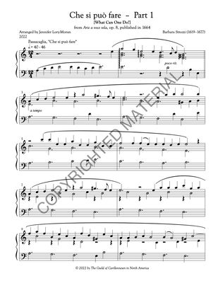 [PDF] Che si può fare