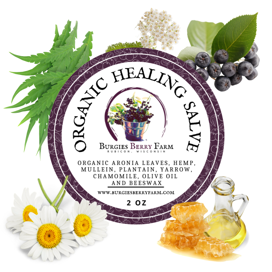 Aronia Berry Healing Salve(2oz)