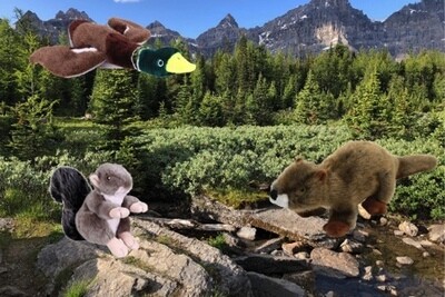 Tender Tuffs Nature Collection