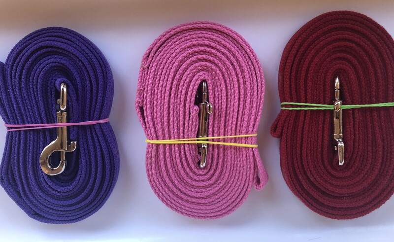 Long Leads for Training and Recall. (4 metres)