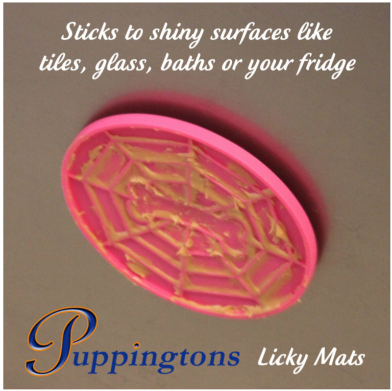 Suction Cup Pet Licking Mat  (small)