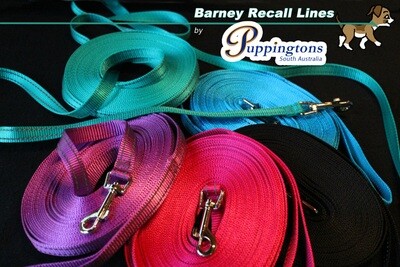 Barney Recall Lines. (10 metres)
