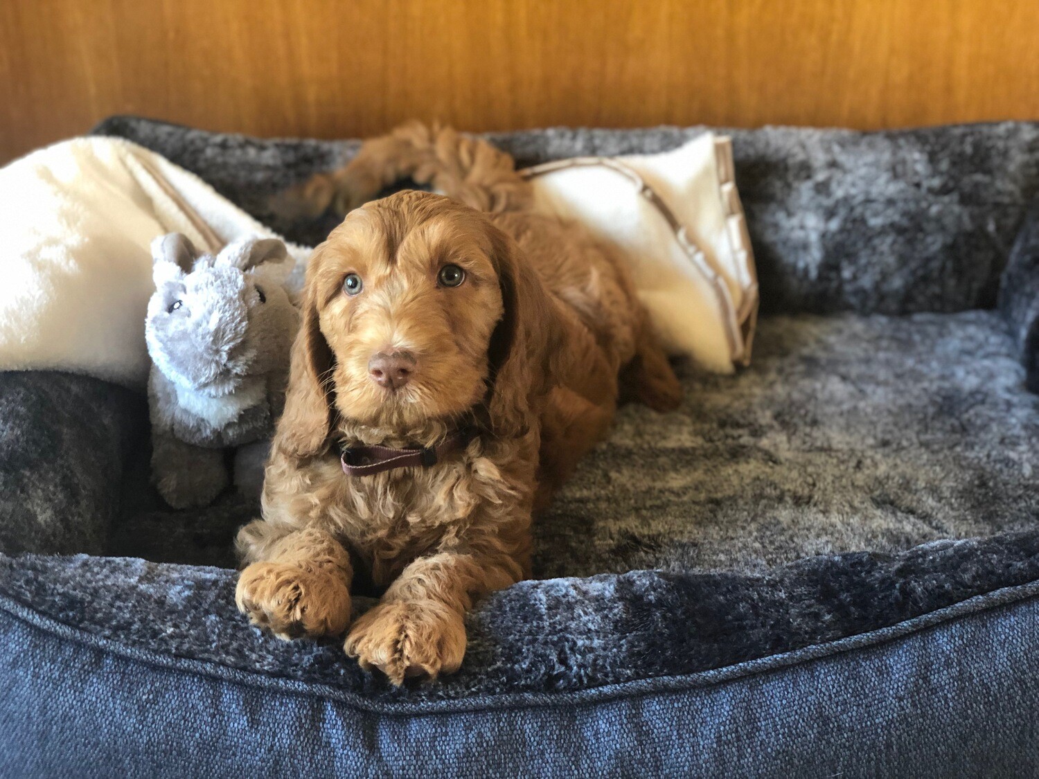 Short Term Boarding.