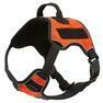 Quest Multi-Purpose Harness. Orange X-SMALL