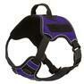 Quest Multi-Purpose Harness. Purple X-SMALL