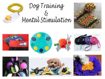 Training Aids &amp; Mental Stimulation Aids