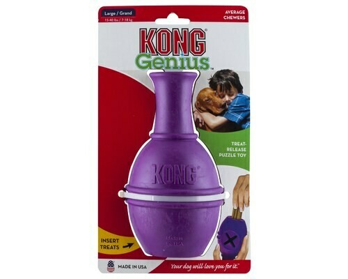 KONG GENIUS LEO (LARGE)- Purple