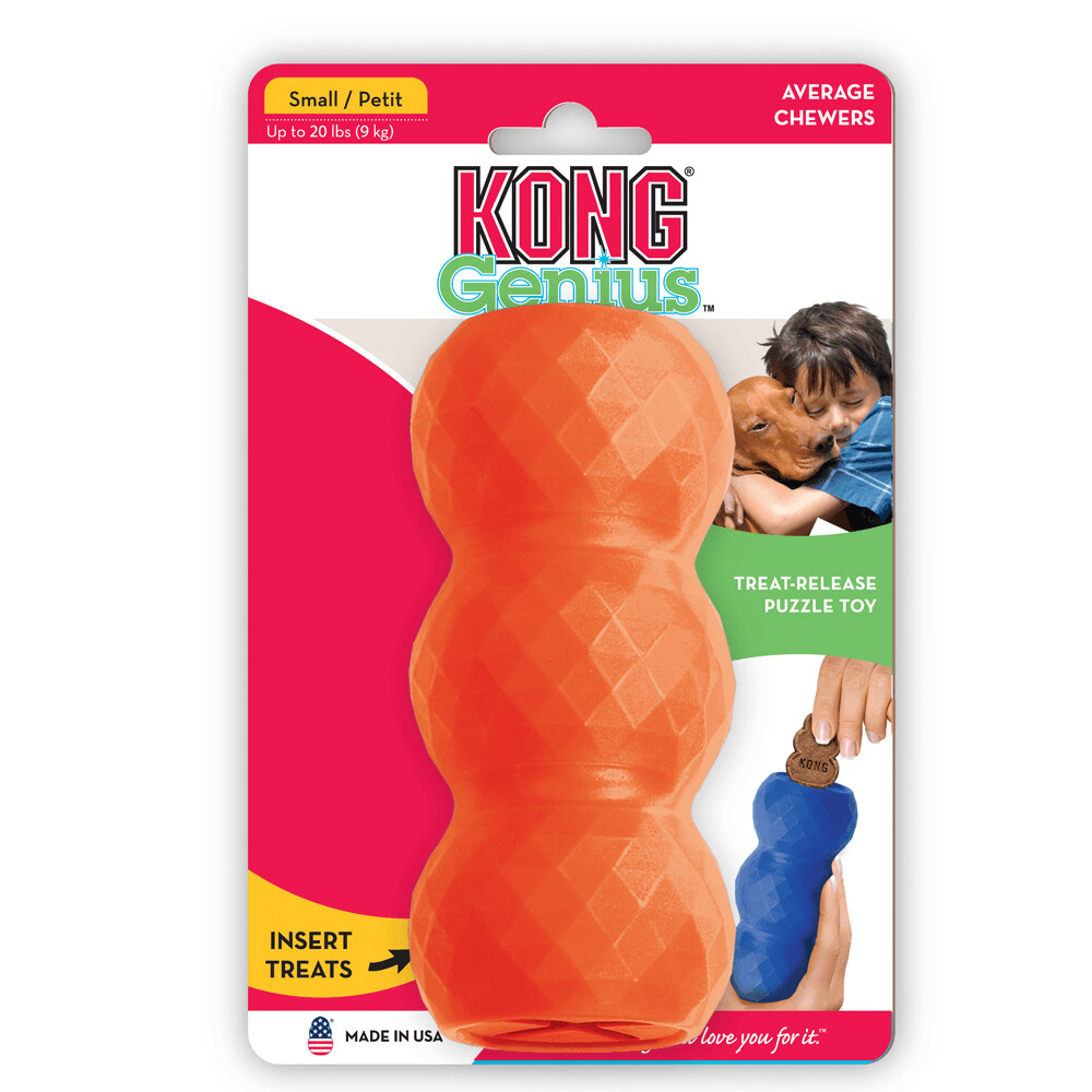 KONG GENIUS Mike (Small)- Orange