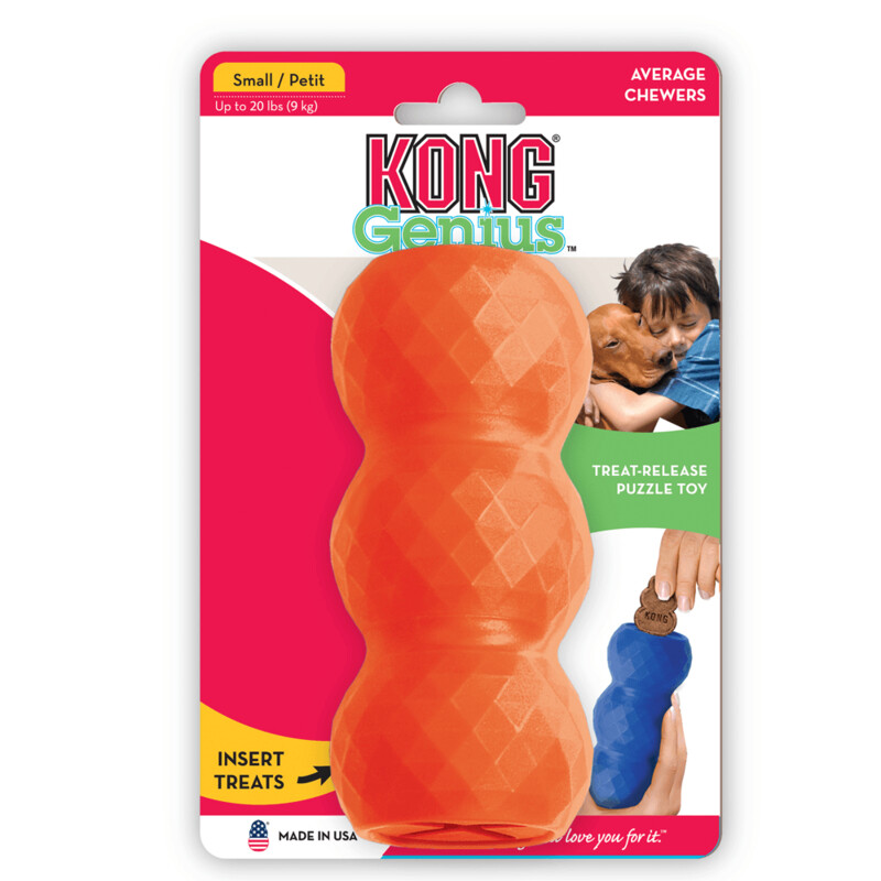 KONG GENIUS Mike (Small)- Orange