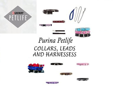 Purina PetLife Collars and Leads