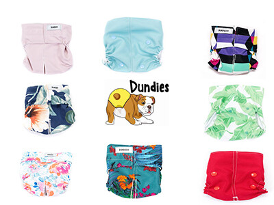 Dundies - Dog Nappies.