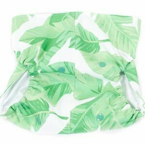 Dundies Tropical Snappie