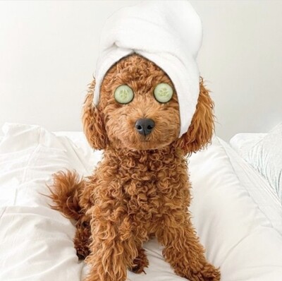 Pamper Grooming Pack