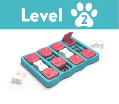 Level 2 - Medium. Suits All Dogs