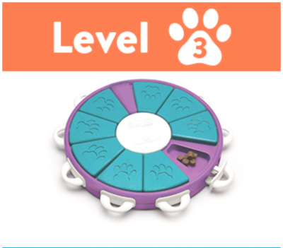 Level 3 -Advance-active-smart-dogs
