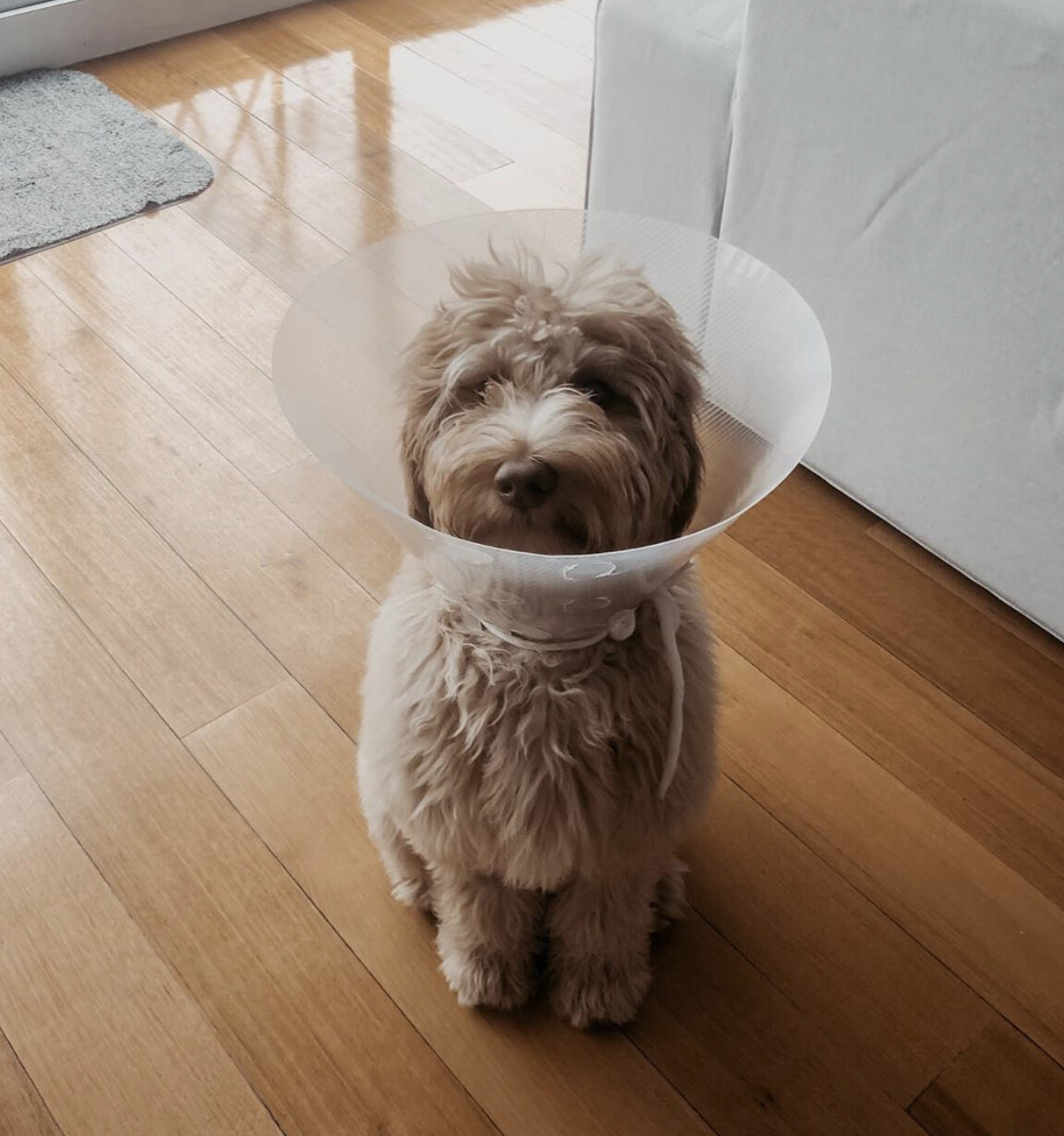 Get Well Soon Gift Pack