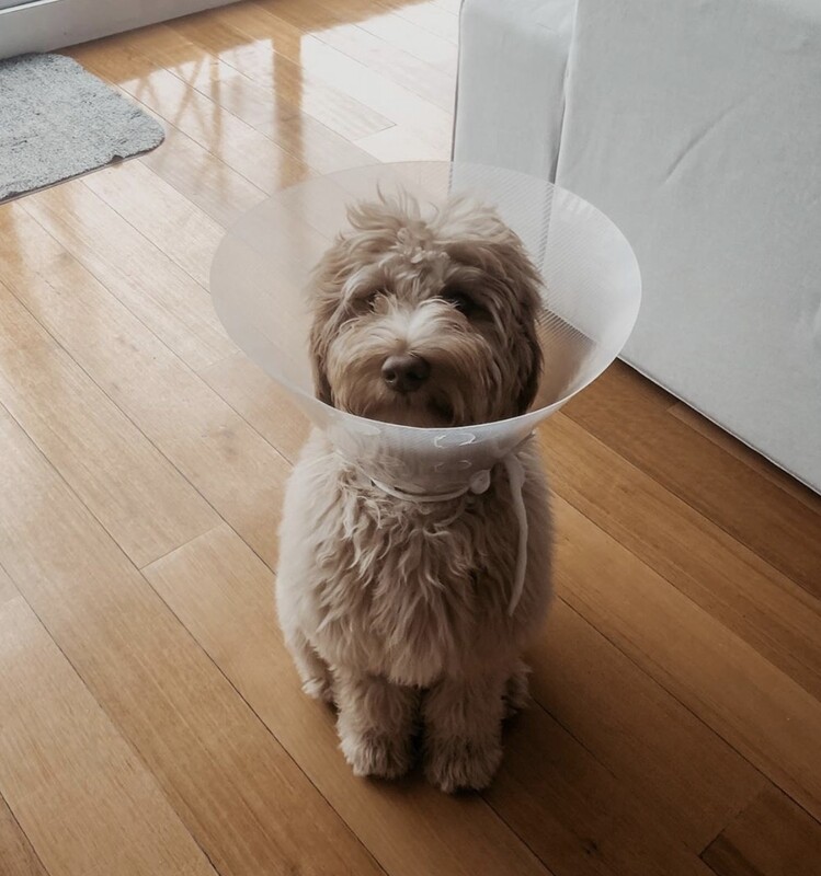 Get Well Soon Gift Pack