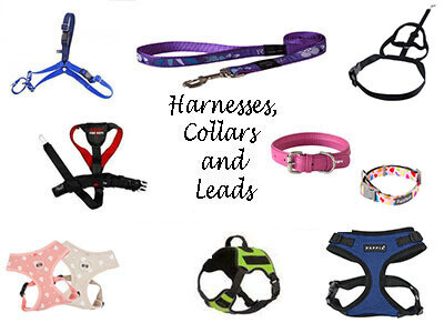 Harnesses, Collars and Leads