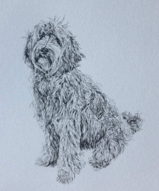 Burrinjuck Labradoodle Pedigree Chart