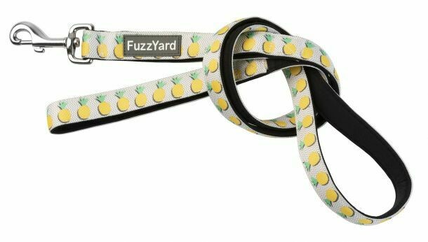 FuzzYard Pina Colada Lead SMALL