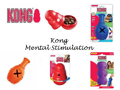 Kong Mental Stimulation